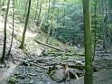 20100814 063